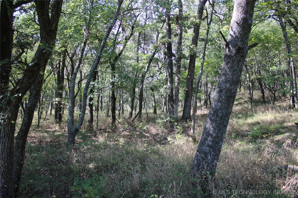 24901 EW 280 ROAD Chelsea, OK 74016
