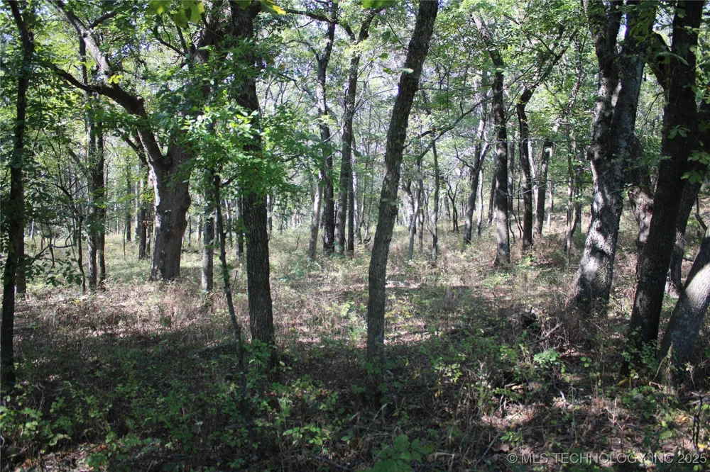 24901 EW 280 ROAD Chelsea, OK 74016