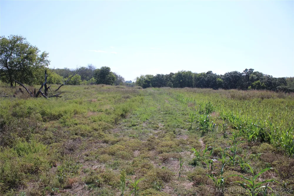 24901 EW 280 ROAD Chelsea, OK 74016
