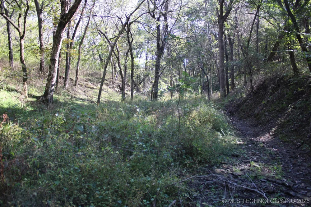 24901 EW 280 ROAD Chelsea, OK 74016