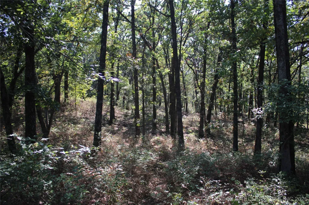 24901 EW 280 ROAD Chelsea, OK 74016