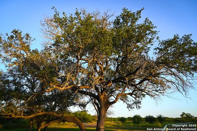 LOT 36 County Road 2500 Bigfoot, TX 78005