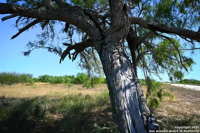 LOT 36 County Road 2500 Bigfoot, TX 78005