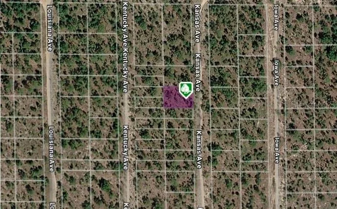 LOT 8 AND 9 KANSAS AVENUE Hawthorne, FL 32640