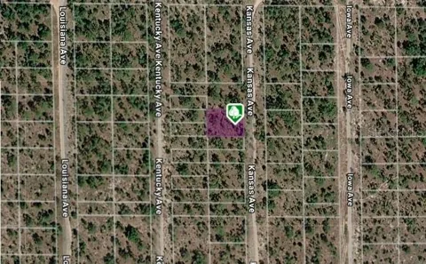 LOT 8 AND 9 KANSAS AVENUE