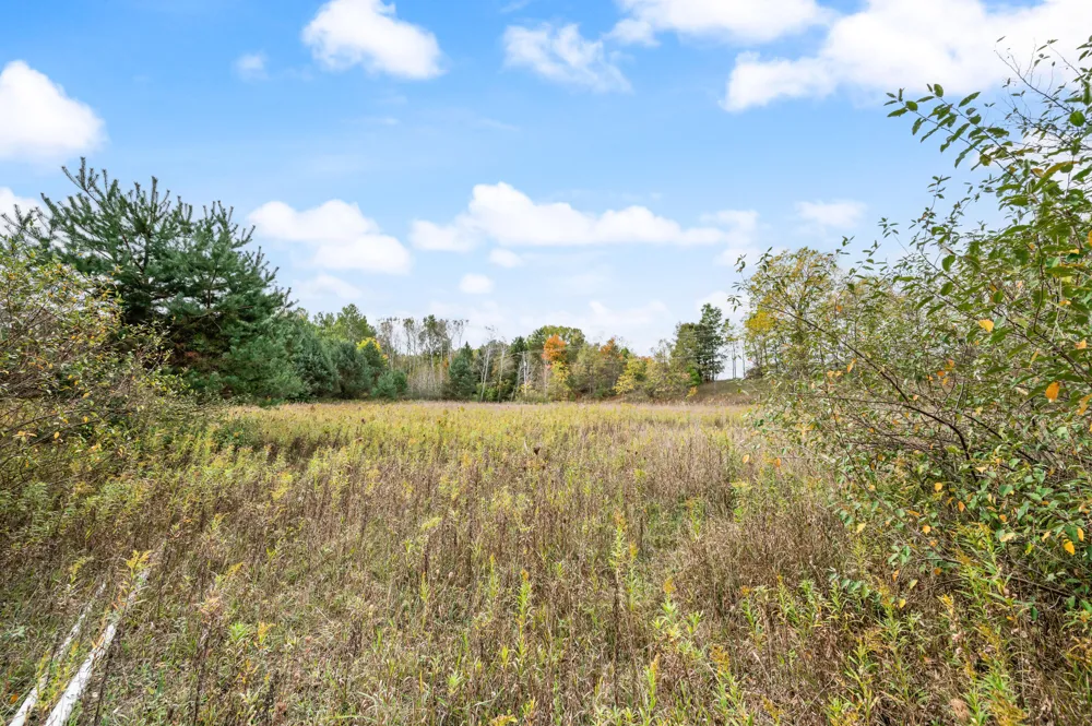 2223 Davison Rd Big Rapids, MI 49307