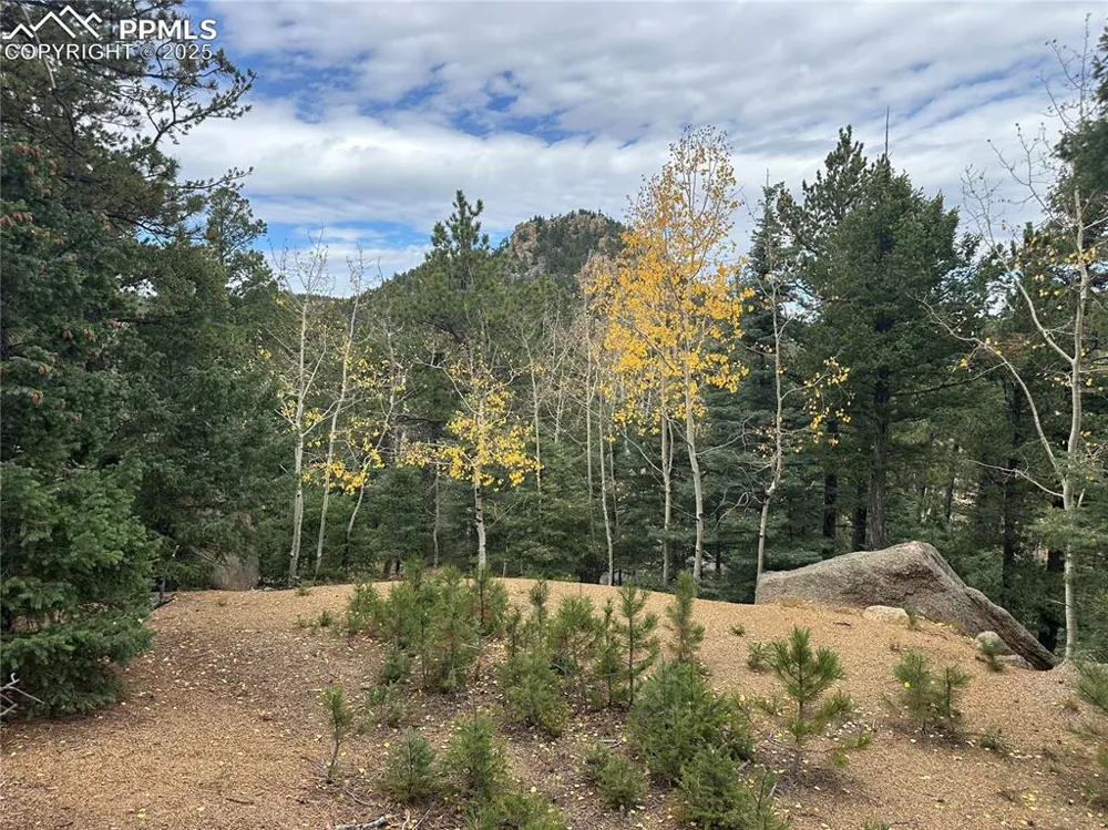 316 Summit Ridge Road Manitou Springs, CO 80829