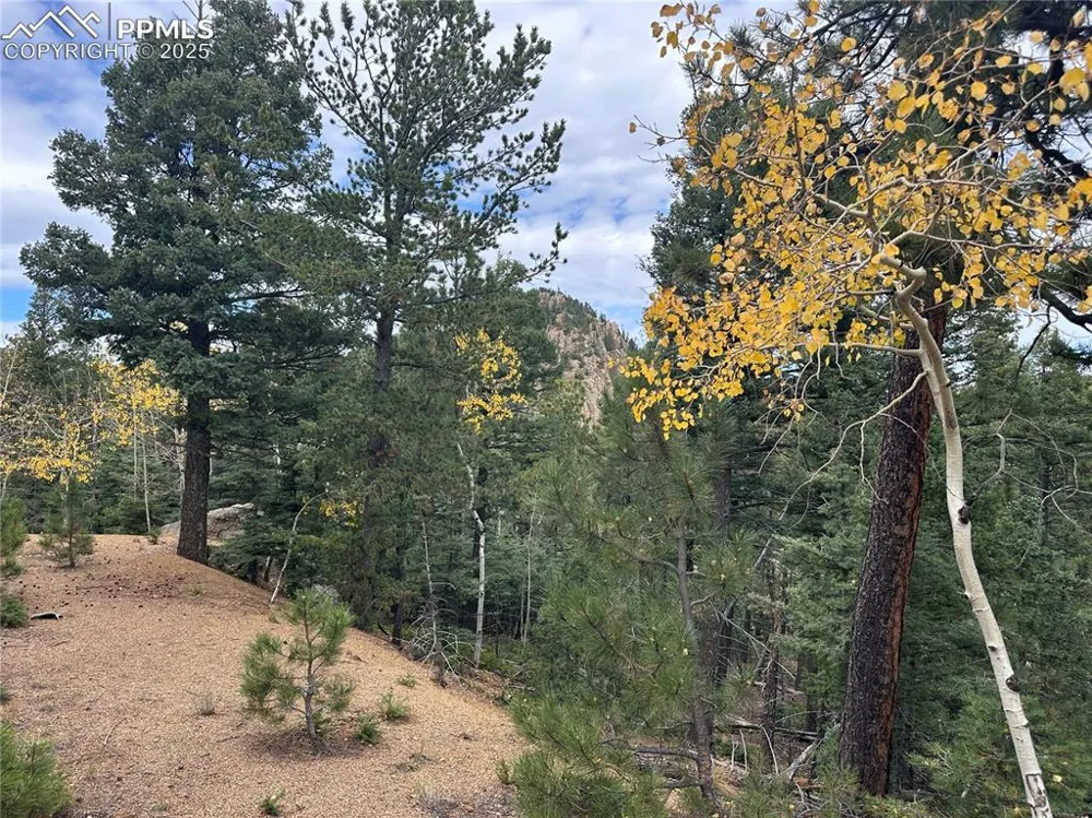 316 Summit Ridge Road Manitou Springs, CO 80829