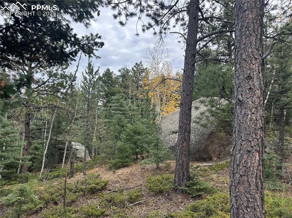 316 Summit Ridge Road Manitou Springs, CO 80829