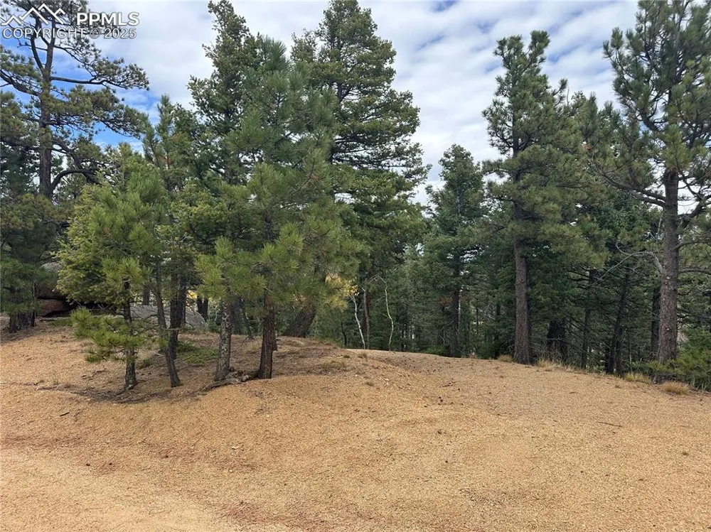 316 Summit Ridge Road Manitou Springs, CO 80829