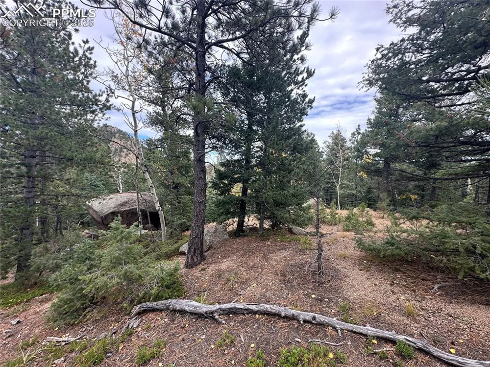 316 Summit Ridge Road Manitou Springs, CO 80829
