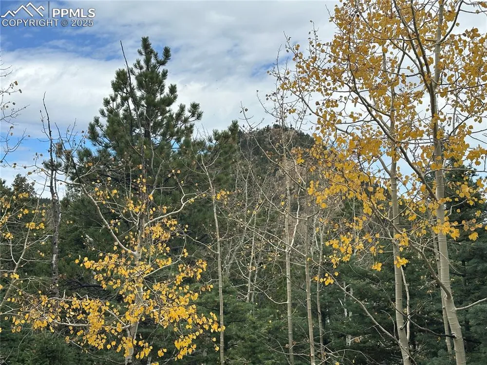 316 Summit Ridge Road Manitou Springs, CO 80829