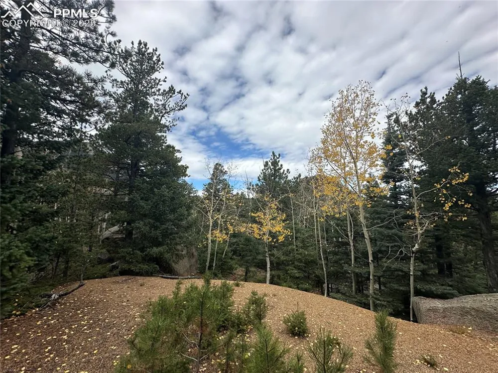 316 Summit Ridge Road Manitou Springs, CO 80829