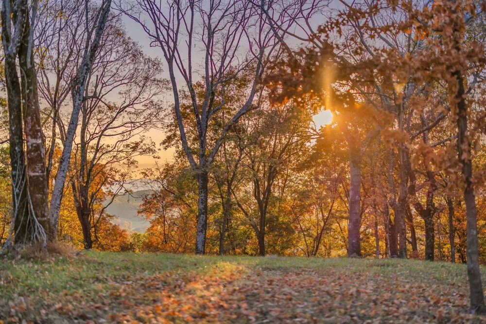 0 Burke Hollow Rd Nolensville, TN 37135