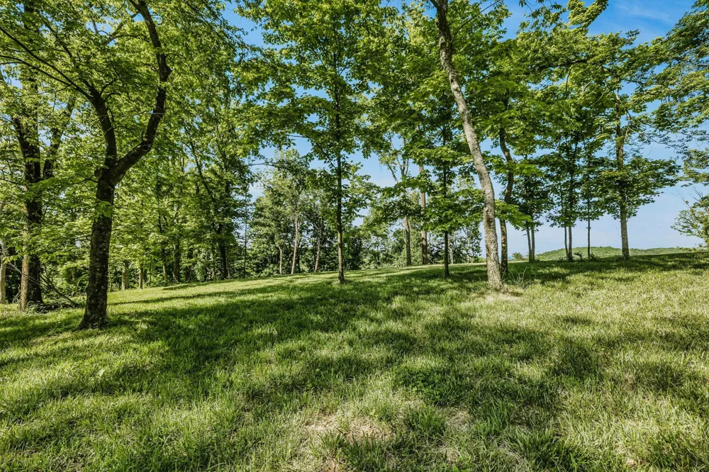 0 Burke Hollow Rd Nolensville, TN 37135
