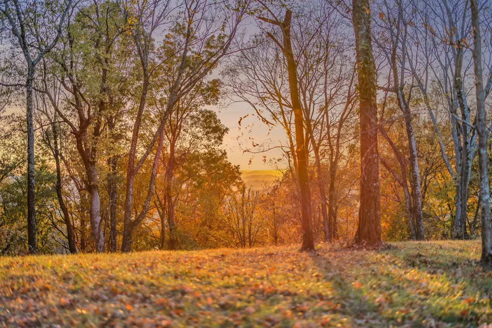 0 Burke Hollow Rd Nolensville, TN 37135