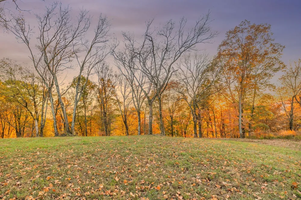 0 Burke Hollow Rd Nolensville, TN 37135