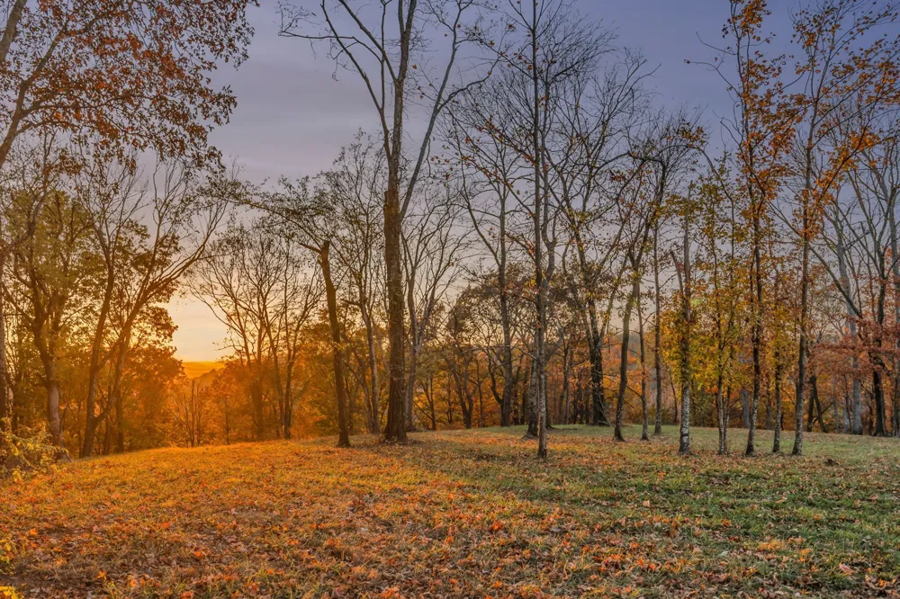0 Burke Hollow Rd Nolensville, TN 37135