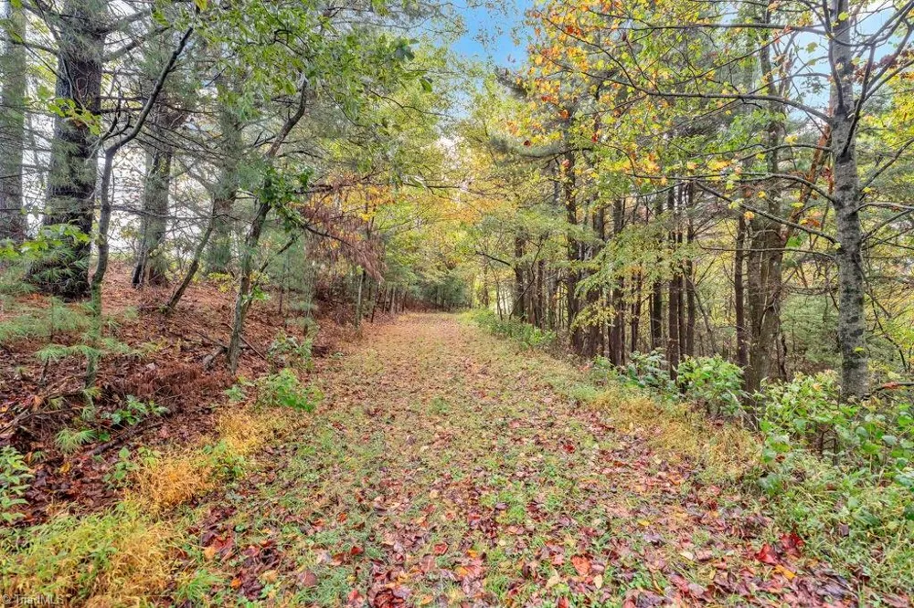 TBD Blue Ridge Church Road Purlear, NC 28665