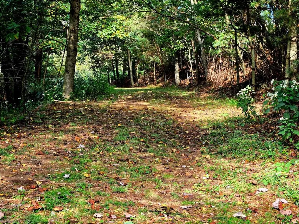 TBD Blue Ridge Church Road Purlear, NC 28665