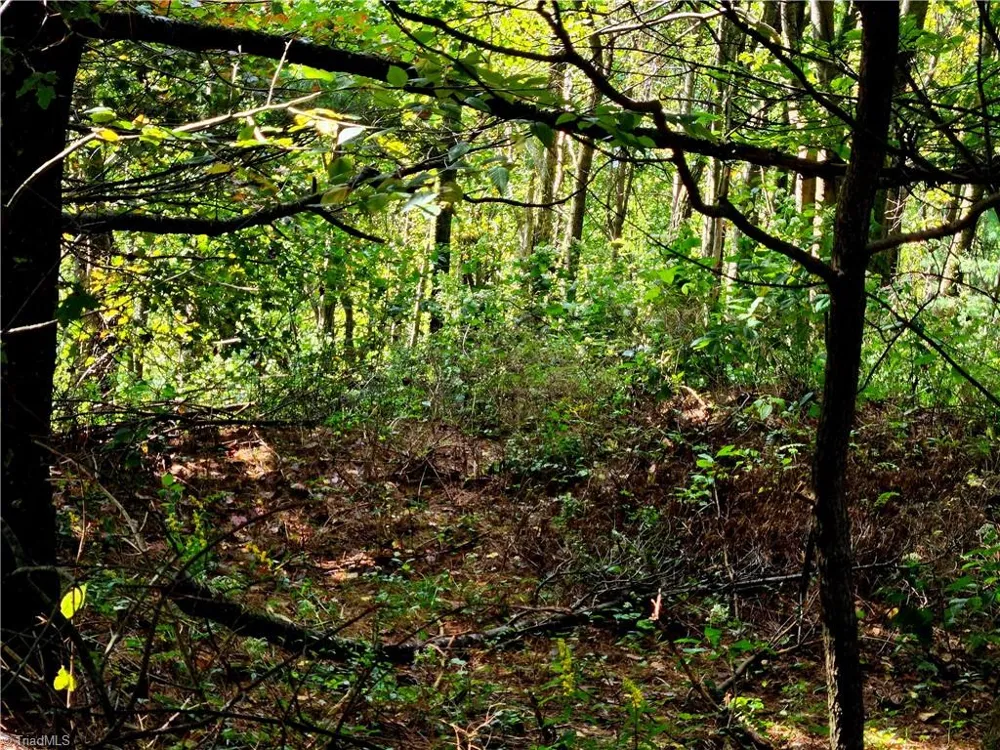 TBD Blue Ridge Church Road Purlear, NC 28665