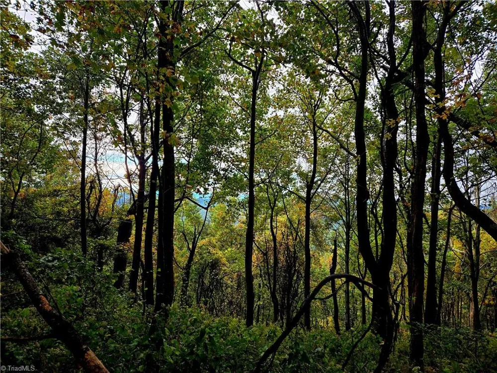 TBD Blue Ridge Church Road Purlear, NC 28665