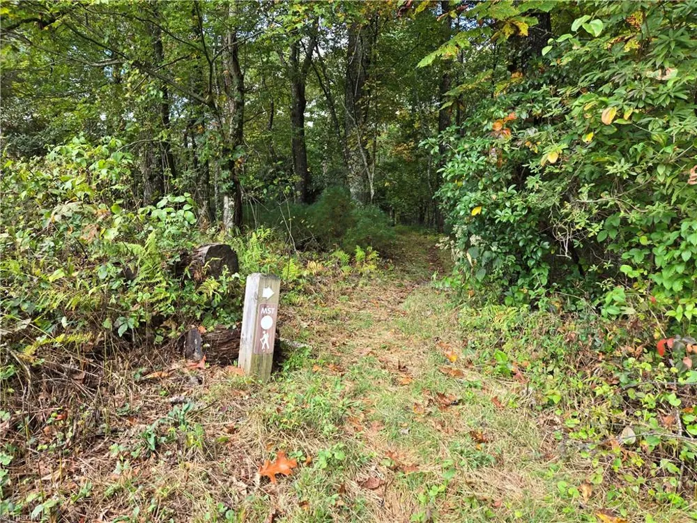 TBD Blue Ridge Church Road Purlear, NC 28665