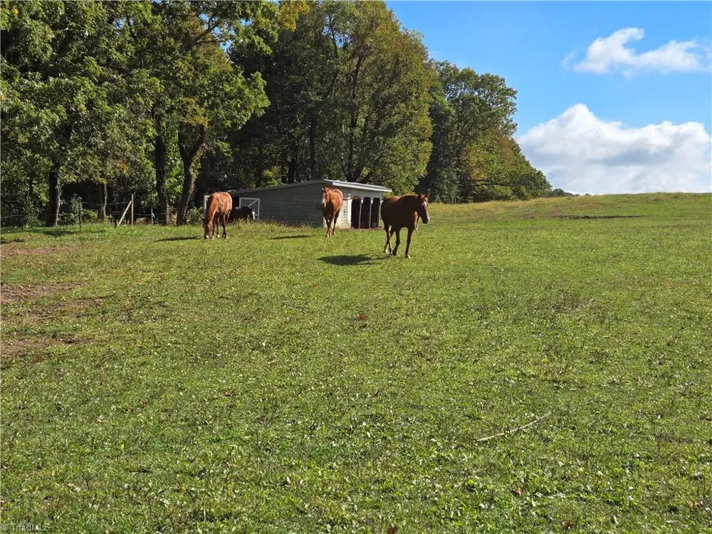 TBD Blue Ridge Church Road Purlear, NC 28665