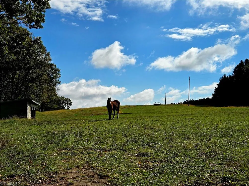 TBD Blue Ridge Church Road Purlear, NC 28665