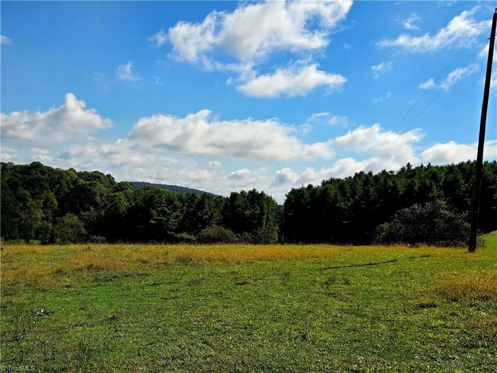 TBD Blue Ridge Church Road Purlear, NC 28665