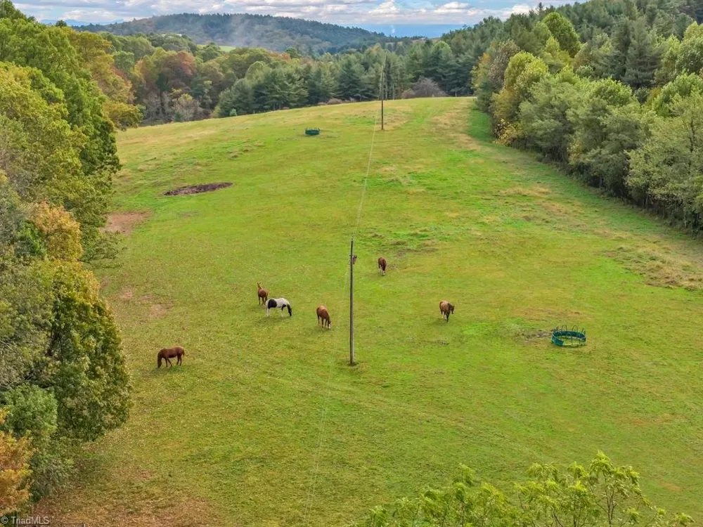 TBD Blue Ridge Church Road Purlear, NC 28665