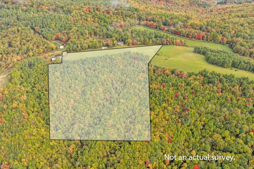 TBD Blue Ridge Church Road Purlear, NC 28665