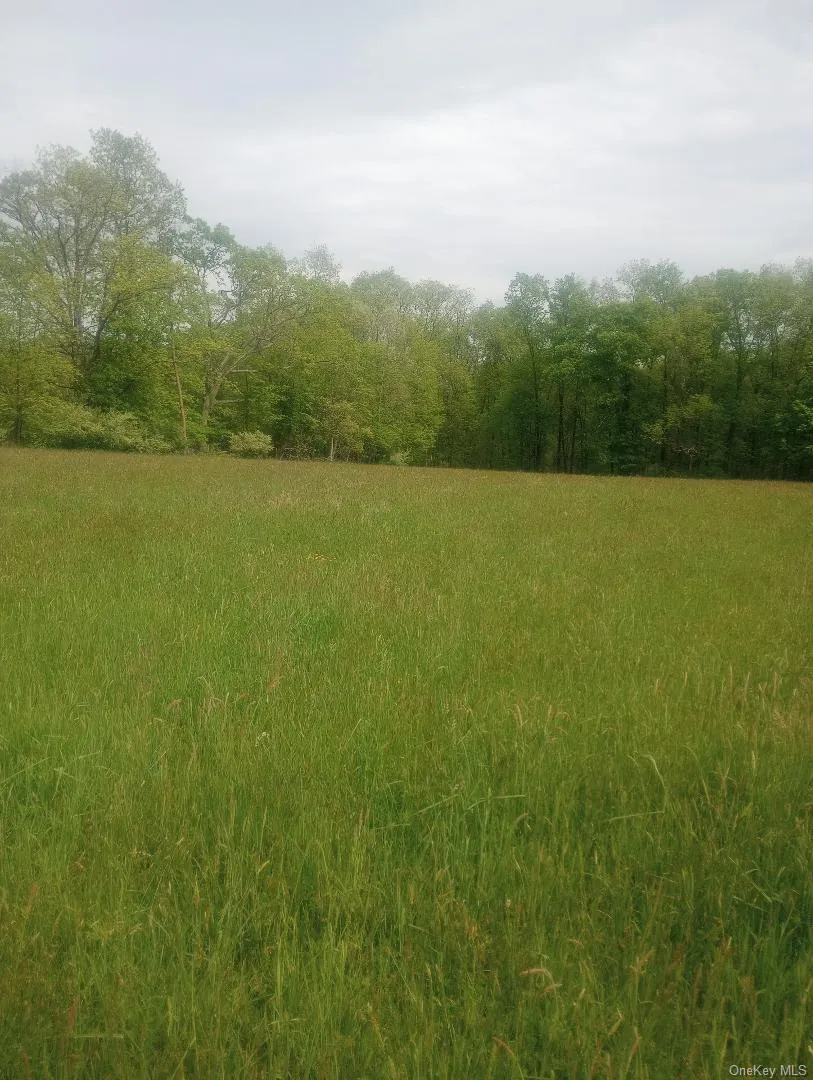 Myers RD. Westtown, NY 10 Myers Road Westtown, NY 10998