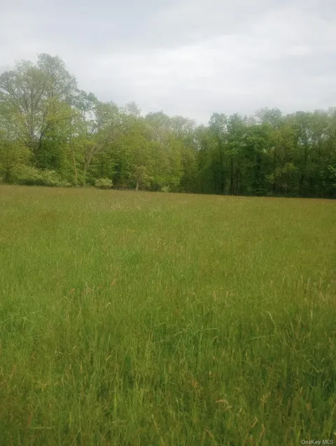 Myers RD. Westtown, NY 10 Myers Road