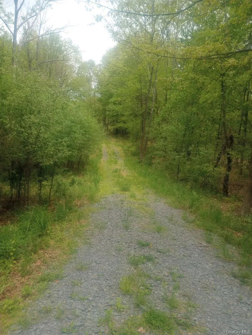 Myers RD. Westtown, NY 10 Myers Road Westtown, NY 10998