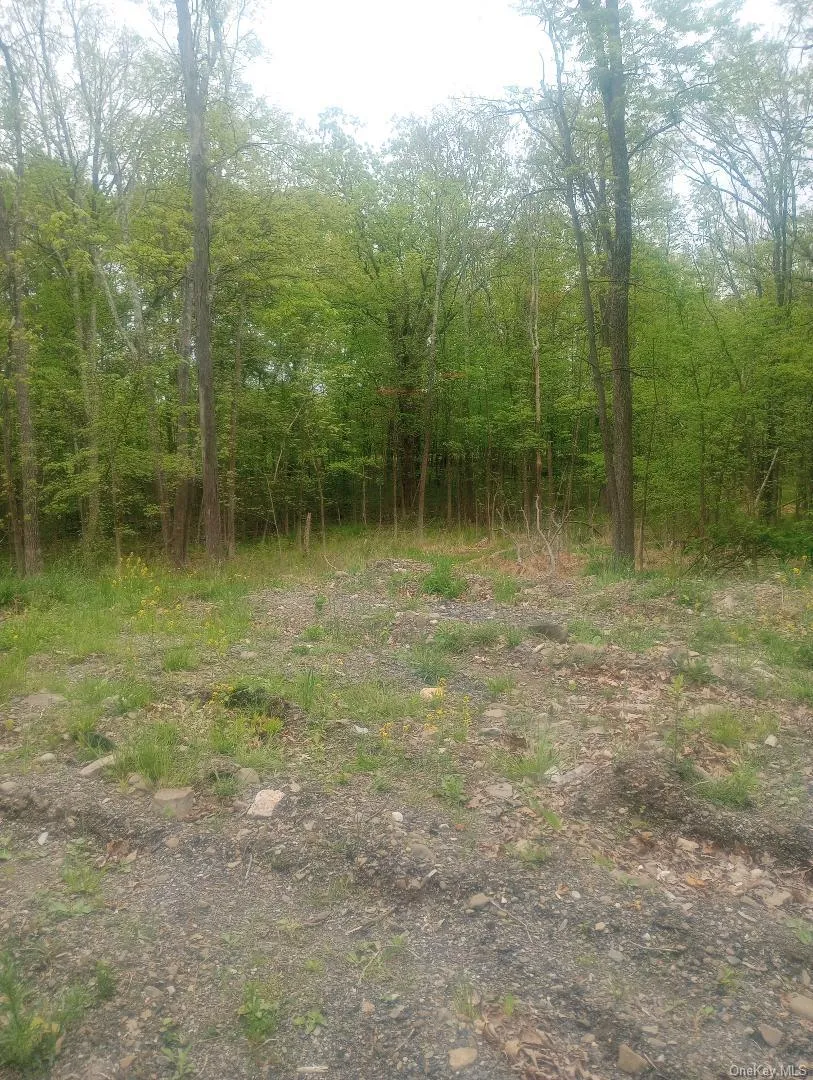 Myers RD. Westtown, NY 10 Myers Road Westtown, NY 10998
