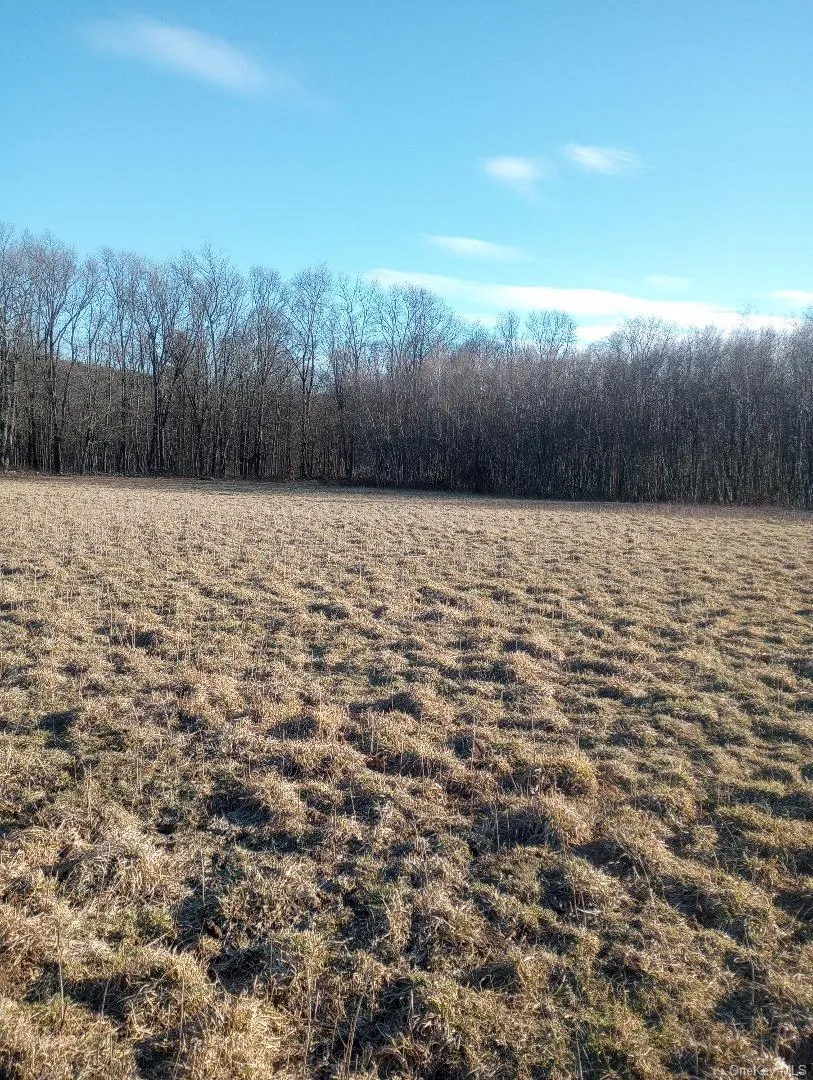 Myers RD. Westtown, NY 10 Myers Road Westtown, NY 10998