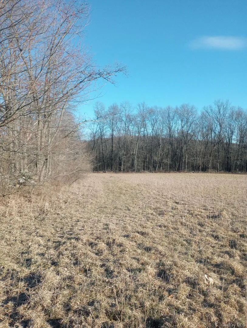 Myers RD. Westtown, NY 10 Myers Road Westtown, NY 10998