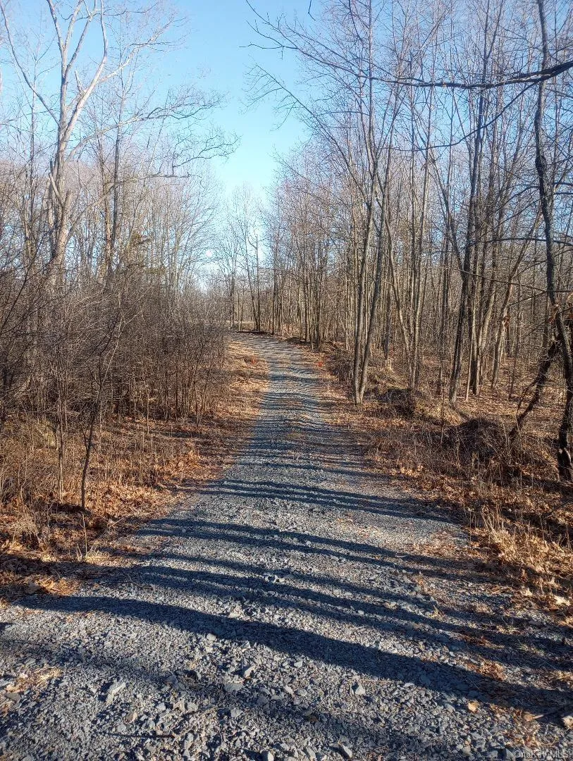 Myers RD. Westtown, NY 10 Myers Road Westtown, NY 10998