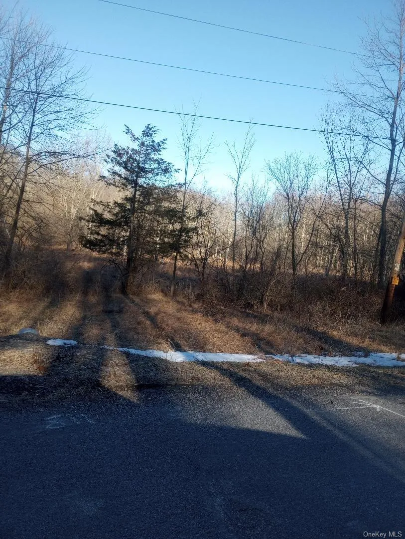 Myers RD. Westtown, NY 10 Myers Road Westtown, NY 10998