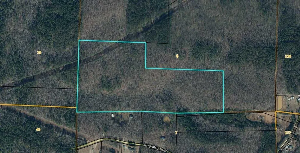 Budapest Rd Road Tallapoosa, GA 30176