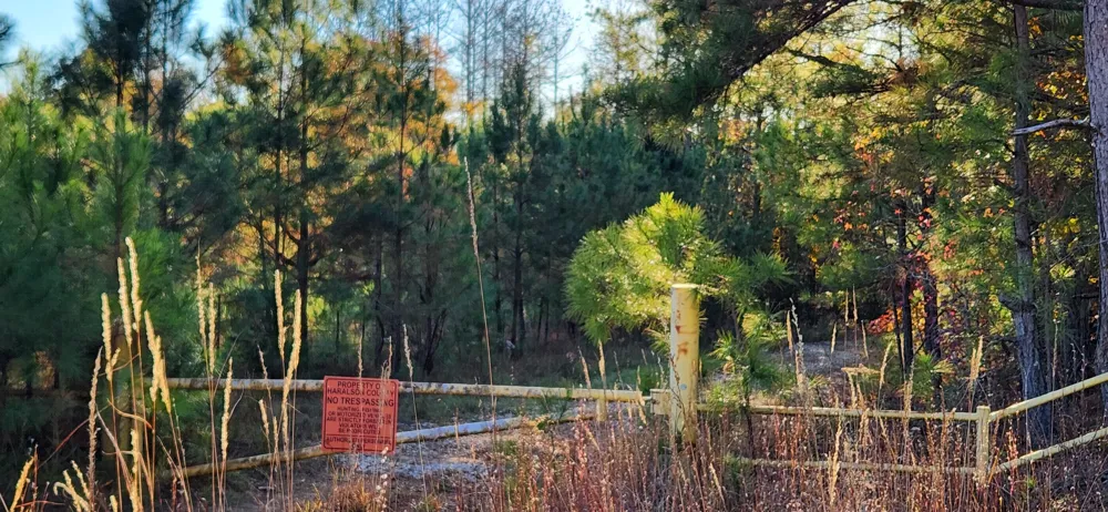 Budapest Rd Road Tallapoosa, GA 30176