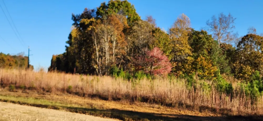 Budapest Rd Road Tallapoosa, GA 30176