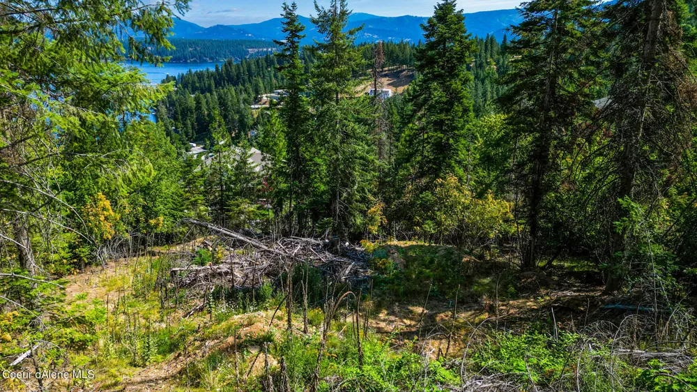 NNA E Lookout Drive Hayden, ID 83835