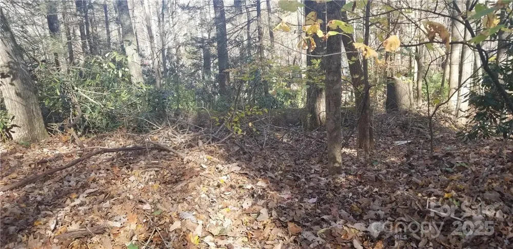 Lot C31 Shady Lane Maggie Valley, NC 28751