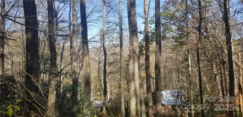 Lot C31 Shady Lane Maggie Valley, NC 28751