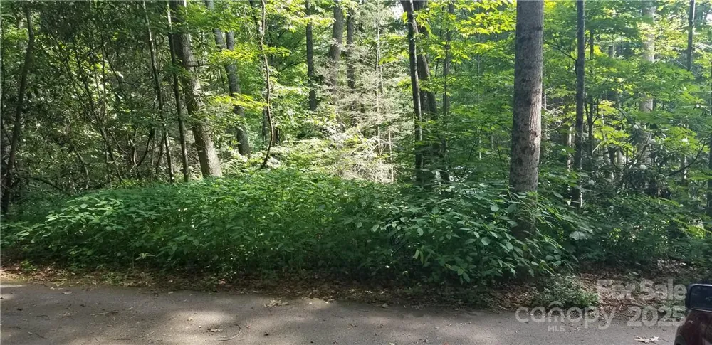 Lot C31 Shady Lane Maggie Valley, NC 28751