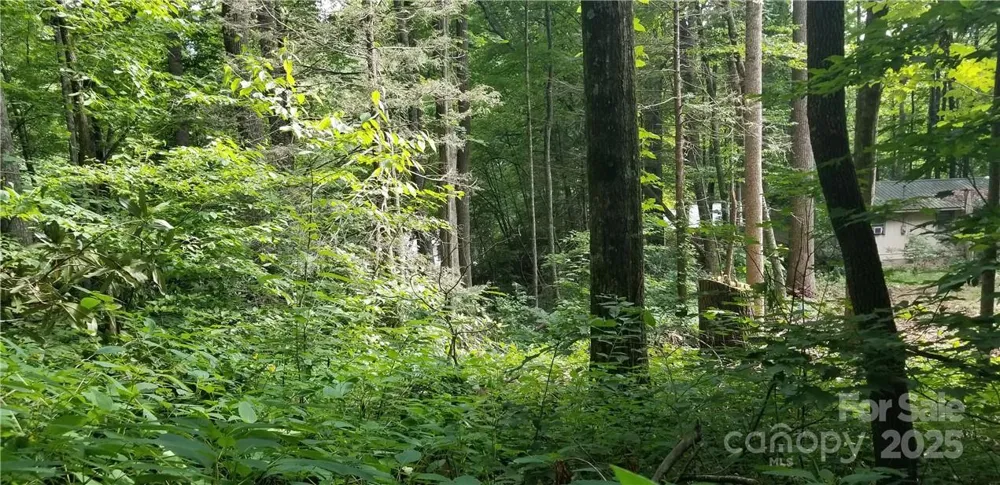 Lot C31 Shady Lane Maggie Valley, NC 28751