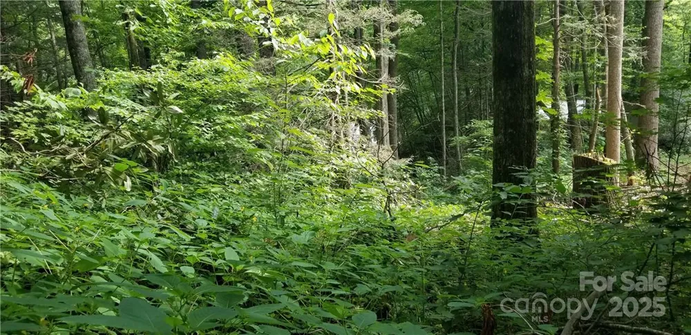 Lot C31 Shady Lane Maggie Valley, NC 28751