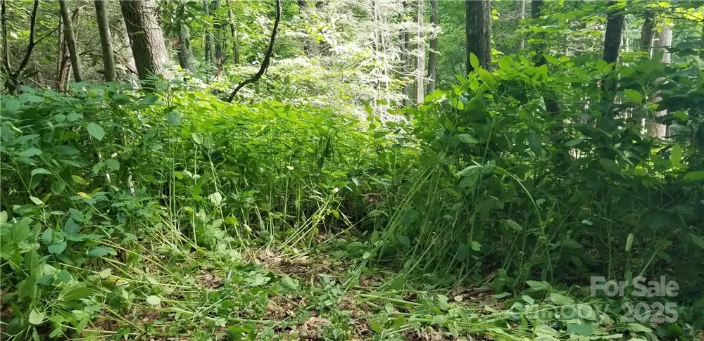 Lot C31 Shady Lane Maggie Valley, NC 28751